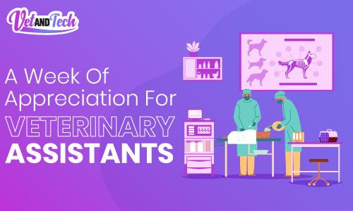 A Week of Appreciation for Veterinary Assistants