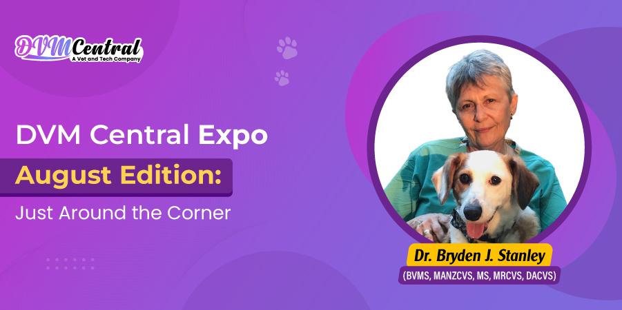 DVM Central Expo — August Edition: Just Around the Corner