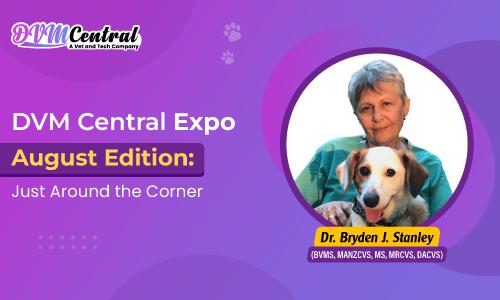 DVM Central Expo — August Edition: Just Around the Corner