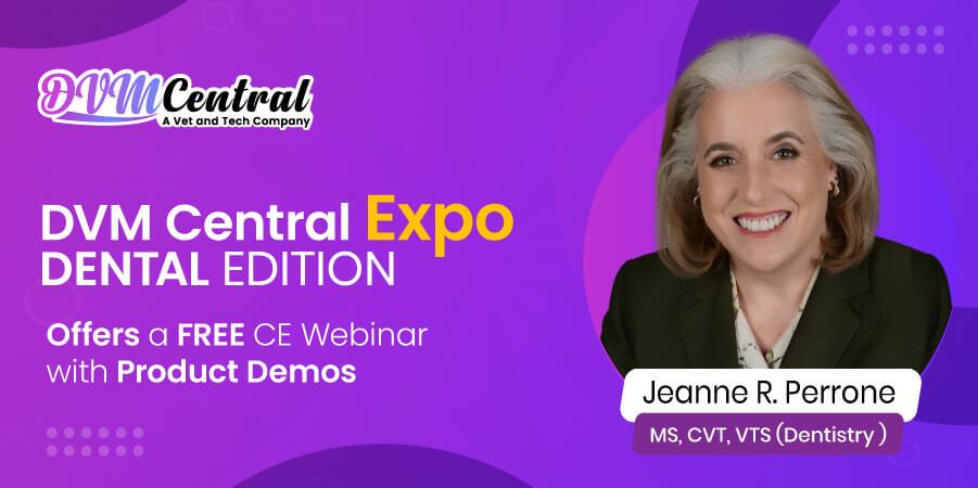 DVM Central Expo - Dental Edition Offers a FREE CE Webinar with Product Demos