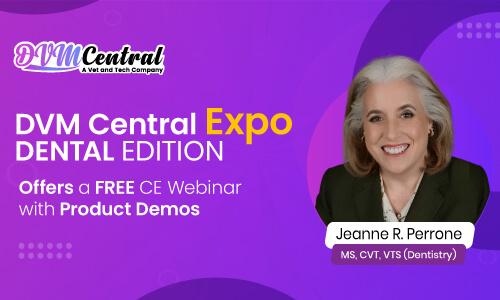 DVM Central Expo - Dental Edition Offers a FREE CE Webinar with Product Demos