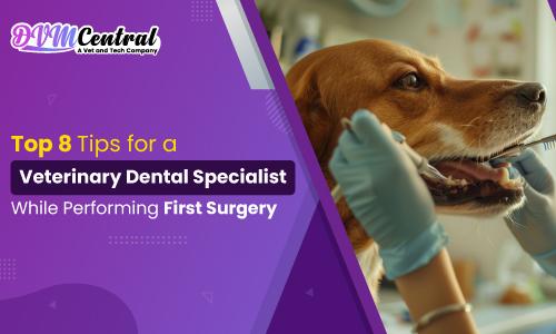 Top 8 Tips for a Veterinary Dental Specialist While Performing First Surgery