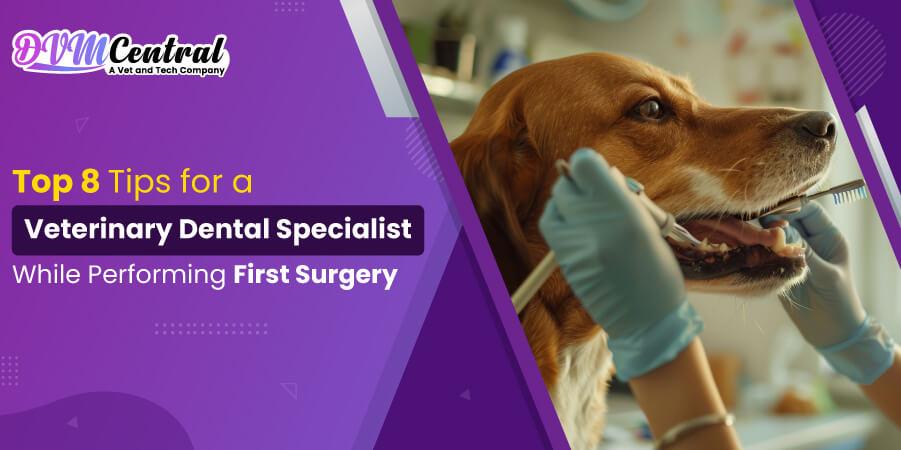 Top 8 Tips for Veterinary Dental Specialists While Performing First Surgery