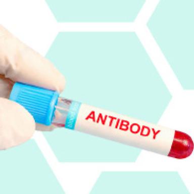 Antibodies (immunoglobins)
