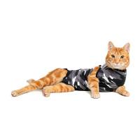 Black Suit For Cats