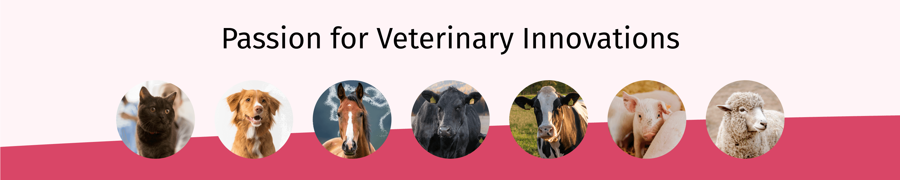 Modern Veterinary Therapeutics