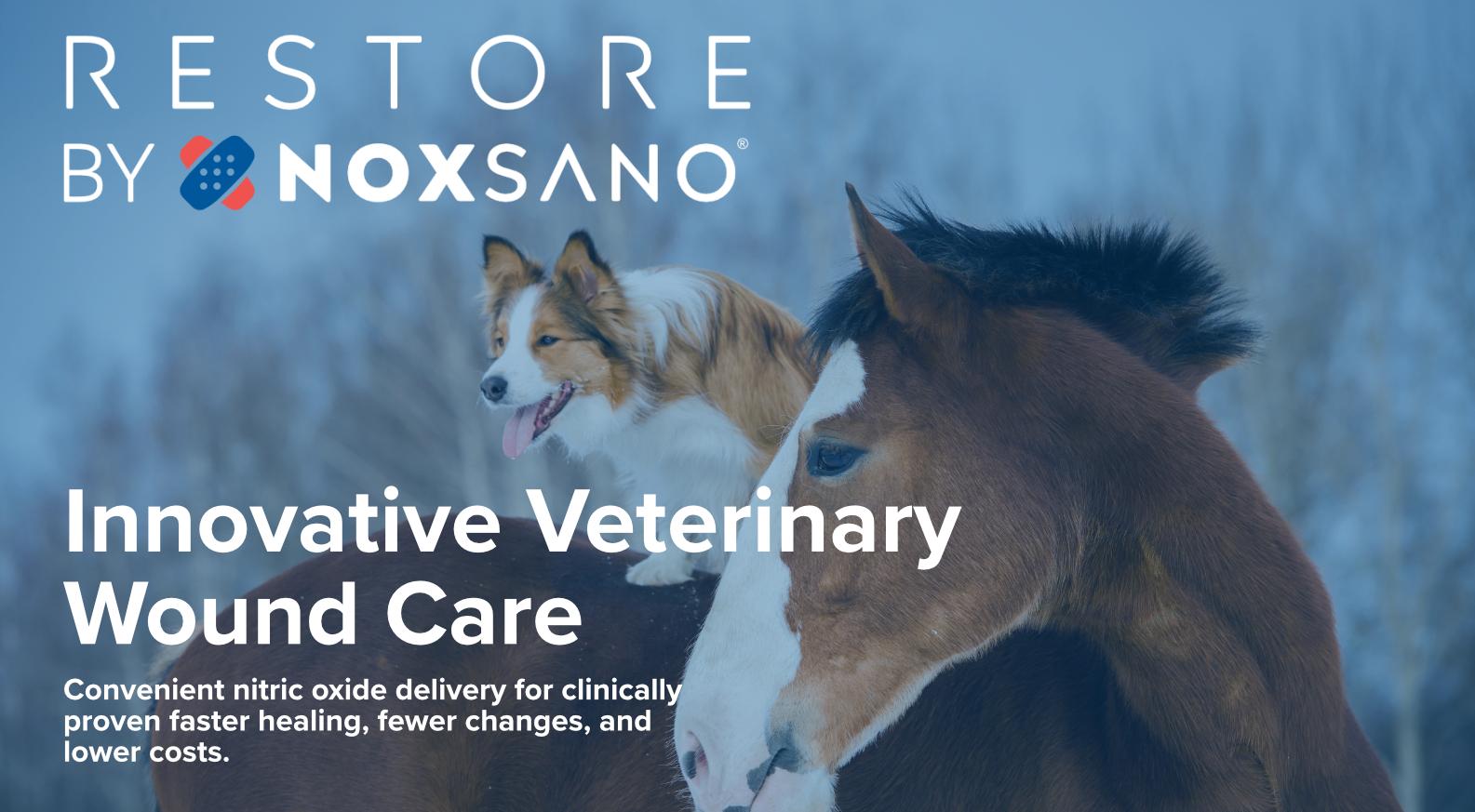 Noxsano Animal Health