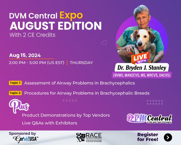 DVM Central Expo - August Edition!