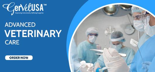 Hi Level - Rose Gold