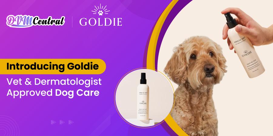 Introducing Goldie: A Vet & Dermatologist-Approved Dog Care Brand