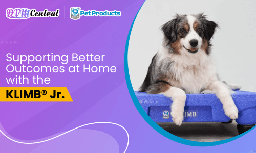 Supporting Better Outcomes at Home with the KLIMB Jr.