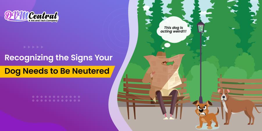 Recognizing the Signs Your Dog Needs to Be Neutered