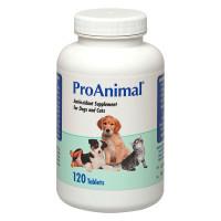 ProAnimal® Daily Immune Support