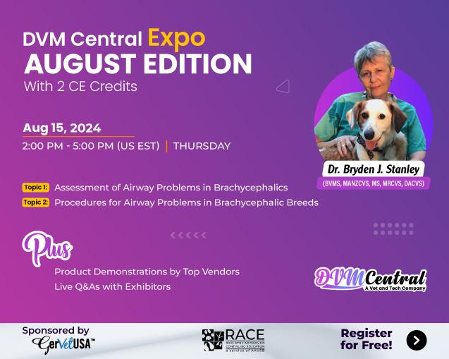 DVM Central Expo - August Edition!