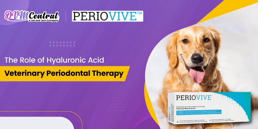 The Role of Hyaluronic Acid in Veterinary Periodontal Therapy