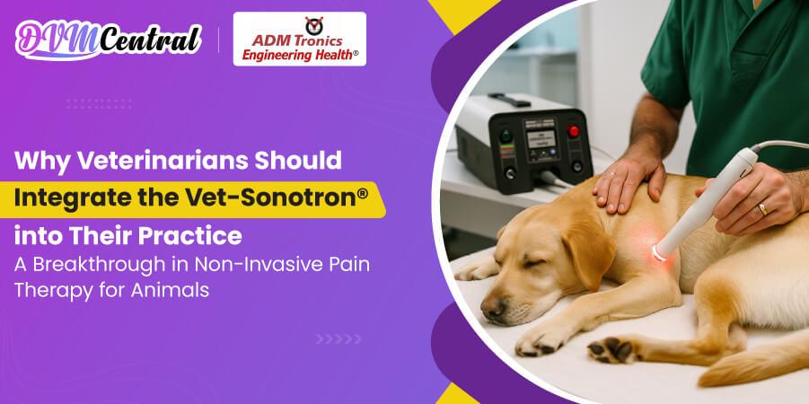 Why Veterinarians Should Integrate the Vet-Sonotron® into Their Practice