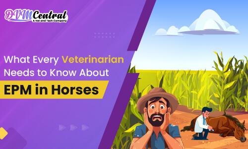 What Every Veterinarian Needs to Know About EPM in Horses