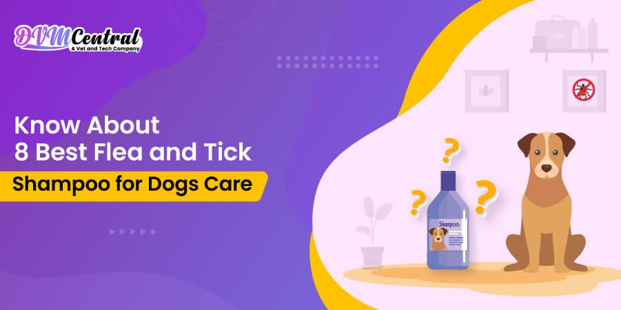 Know About 8 Best Flea and Tick Shampoo for Dogs Care